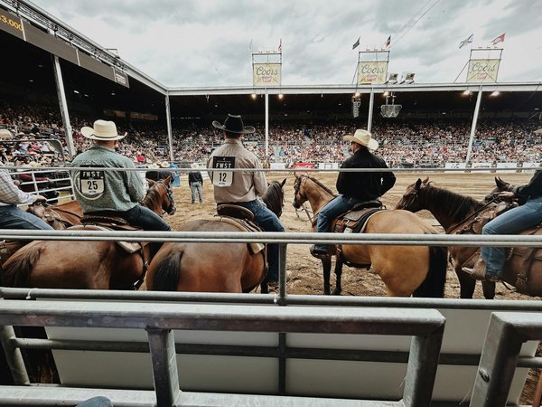 Dimensions réglementaires du terrain de pickleball : guide complet